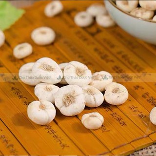 Thổ bối mẫu 1kg, khô, sạch, thơm, dùng pha trà, hầm canh, hỗ trợ giảm ho đau họng, tiêu đờm, bổ phế