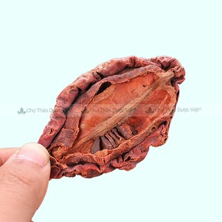 Mộc qua khô 100g, quả tra tử, hỗ trợ giảm ho, đau nhức xương khớp, tê bì tay chân, tốt cho tiêu hoá