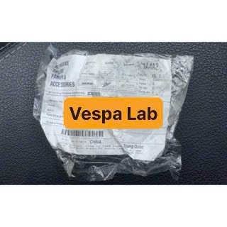 Bạc Đạn (Vòng Bi) Hợp Kim Vespa 3V, IGET
