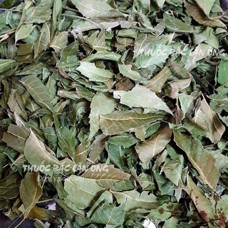 Lá neem khô 100g (Lá xoan ấn độ, lá nem kháng khuẩn)