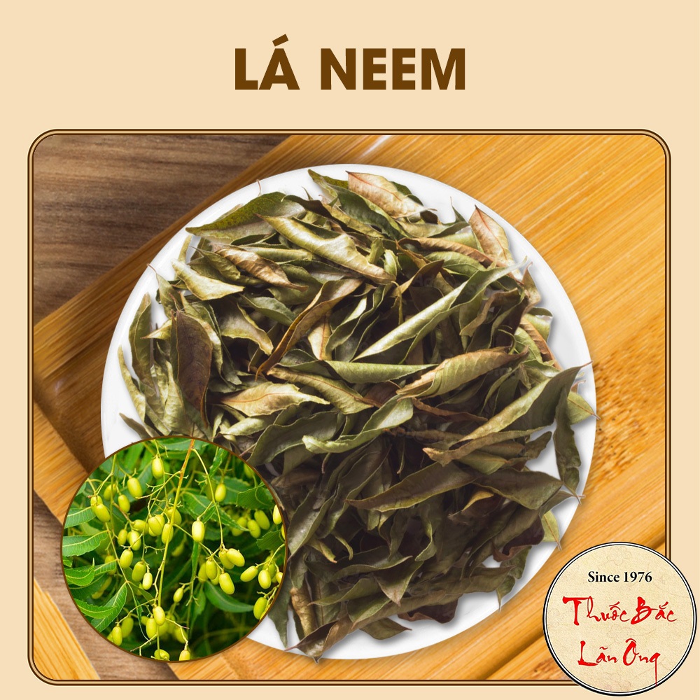 Lá neem khô 500g (Lá xoan ấn độ, lá nem kháng khuẩn)