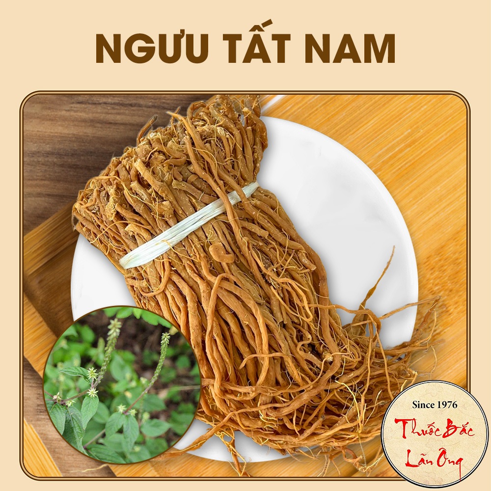 Ngưu Tất Nam 500g