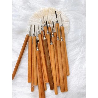 Cây lấy khoé gỗ, cây móc khóe nails