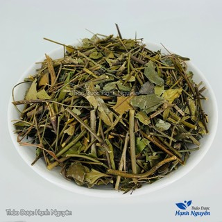 Chè Vằng Lá Sẻ 100g (Sao Vàng Hạ Thổ)