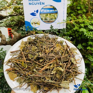 Chè Vằng Lá Sẻ 100g (Sao Vàng Hạ Thổ)