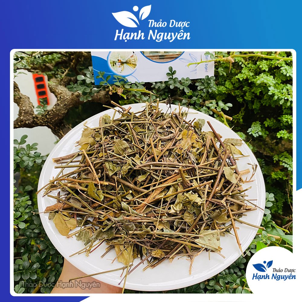 Chè Vằng Lá Sẻ 500g (Sao Vàng Hạ Thổ)