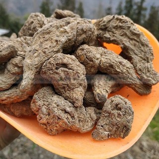 Sinh địa khô 1kg, củ sanh địa to, khô, sạch - Chợ Thảo Dược Việt