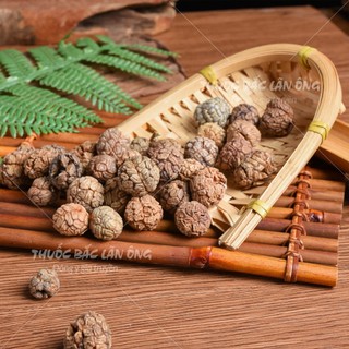 Sa nhân khô 100g, hạt to, sạch, nguyên hạt, không lẫn tạp chất - Lãn Ông