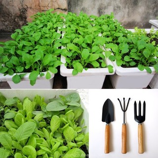 Bộ dụng cụ làm vườn 3 món Xẻng+Cào+Chĩa