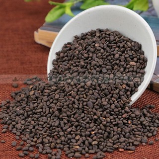 Phá cố chỉ khô 500g, bổ cốt chỉ hỗ trợ bổ thận tráng dương, điều hòa kinh nguyệt, lợi tiểu