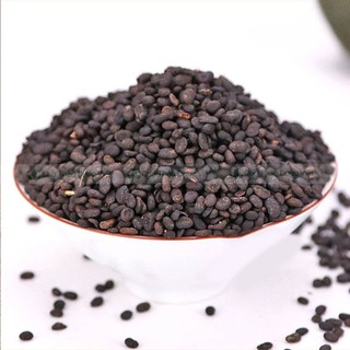 Phá cố chỉ khô 500g, bổ cốt chỉ hỗ trợ bổ thận tráng dương, điều hòa kinh nguyệt, lợi tiểu