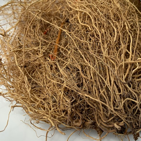 Rễ Cây Hương Bài 100g