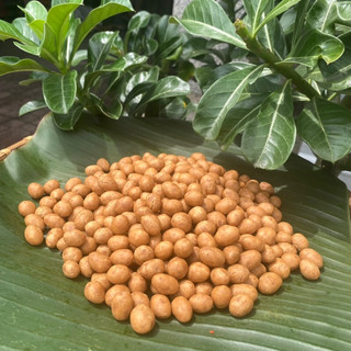 500gr Đậu Phộng Da Cá Cốt Dừa, đậu phộng da cá