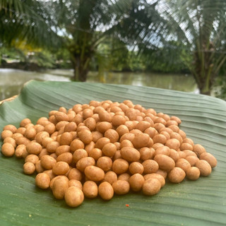 500gr Đậu Phộng Da Cá Cốt Dừa, đậu phộng da cá