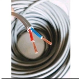 Dây điện đôi 2 lớp vỏ tròn xám 2x1.0 2x1.5 2x2.5 2x4.0 2x6.0 dây điện đôi tròn xám 1.0 1.5 2.5 4.0 6.0 đồng tốt (1m)