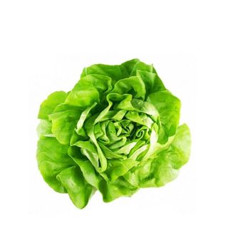 Hạt Giống Xà Lách Búp (Xà Lách Đăm)
