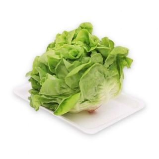 Hạt Giống Xà Lách Búp (Xà Lách Đăm)
