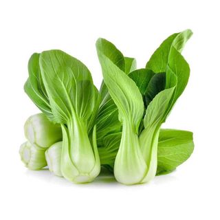 Hạt Giống Cải Thìa (Cải Chíp) Dễ Trồng Nhanh Thu Hoạch Gói 20 Gam