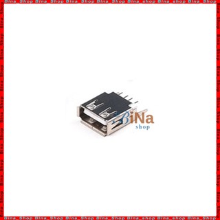 Đầu USB 2.0 4pin đực cái tự chọn