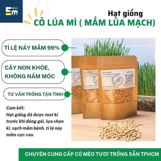 Hạt Giống Cỏ Lúa Mì (Mầm Lúa Mạch) • Cỏ Mèo Cao Cấp 80gr | mPETS