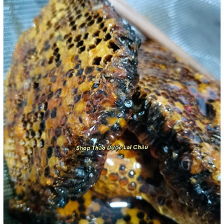 MẬT ONG RỪNG LAI CHÂU .