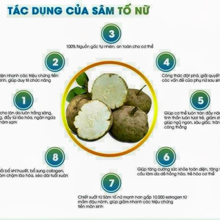 SÂM TỐ NỮ NGUYÊN CHẤT ( bột và thái lát )