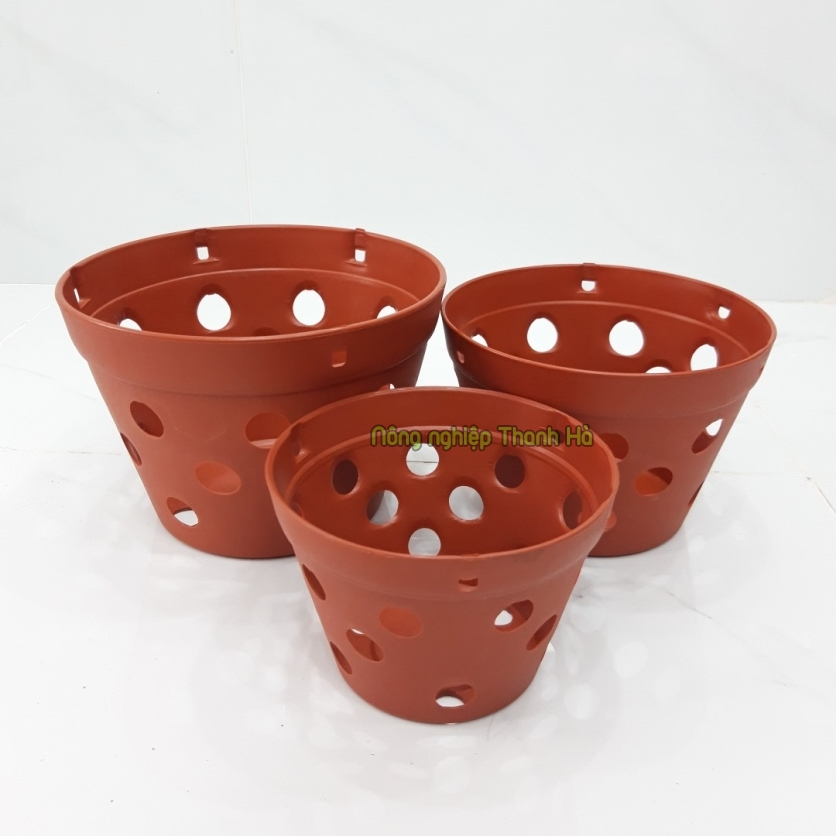Chậu trồng lan phi 23cm - CN15