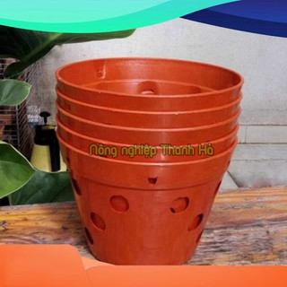 Chậu trồng lan phi 23cm - CN15
