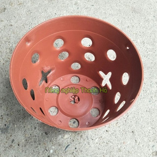 Chậu trồng lan phi 23cm - CN15