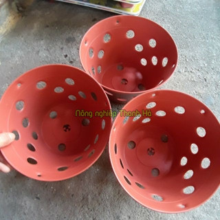 Chậu trồng lan phi 23cm - CN15