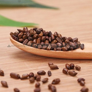Thảo quyết minh khô 1kg, hạt muồng muồng, to, sạch, giúp thanh nhiệt, sáng mắt, nhuận tràng