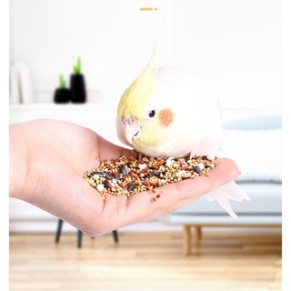  Hạt Trộn Dinh Dưỡng Cao Cấp – Thức Ăn Tổng Hợp Cho Vẹt Yến Phụng Lovebird Cockatiel Finch 