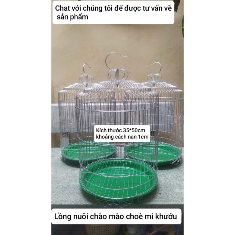lồng chào mào chòe lửa mi khướu