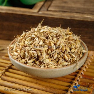 Mạch nha 100g, hạt lúa mạch, khô, thơm, sạch, không lẫn tạp chất - Thảo Dược Hạnh Nguyên