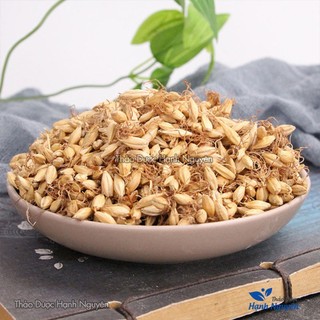 Mạch nha 100g, hạt lúa mạch, khô, thơm, sạch, không lẫn tạp chất - Thảo Dược Hạnh Nguyên