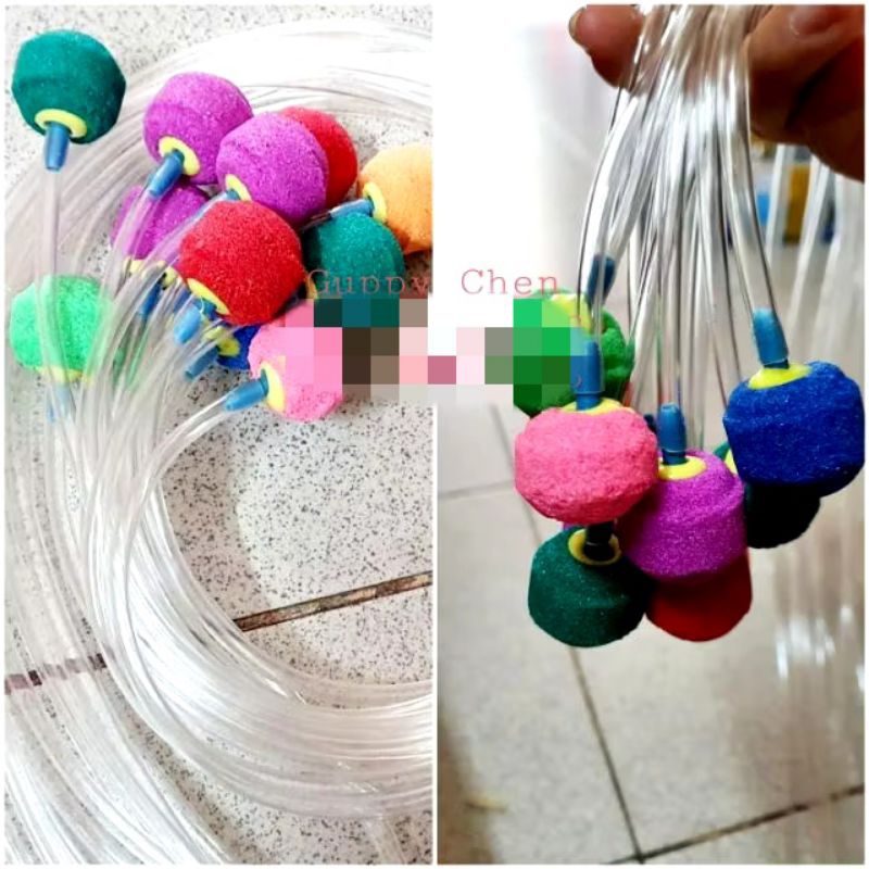 Combo quả sủi + dây oxi cho hồ cá
