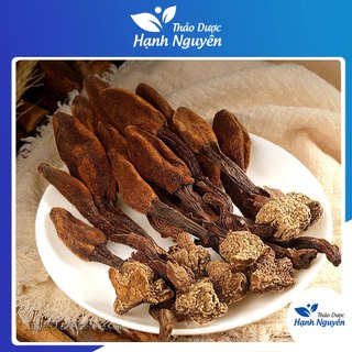 Nấm ngọc cẩu 500g, khô, sạch, nguyên búp - Thảo Dược Hạnh Nguyên