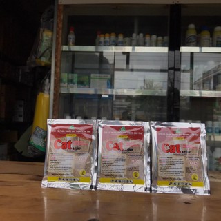 Cat 0.25WP kiểm soát chuột hiệu quả cao trong một lần ăn mồi