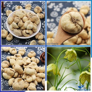 Thổ bối mẫu 500g, bối mẫu Tứ Xuyên, khô, sạch, giúp giảm ho, đau họng, tiêu đờm, bổ phế