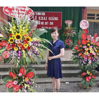 Đầm xòe cổ nơ chấm bi CC27 cao cấp