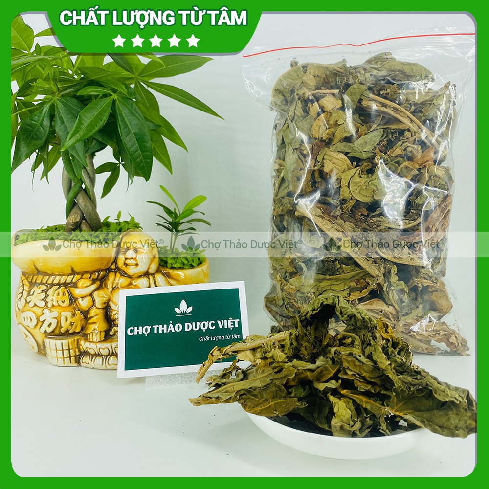Lá đu đủ đực khô 100g, phòng ngừa ung thư, ổn định đường huyết, tốt cho hệ hô hấp, tiêu hoá