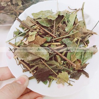 Chè vằng lá sẻ 100g, trà vằng, chè vằng khô, thơm, hỗ trợ thanh nhiệt, lợi sữa - Chợ Thảo Dược Việt