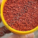 Thức ăn dán kính JM Aqua cho cá cảnh thủy sinh