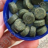 Thức ăn dán kính JM Aqua cho cá cảnh thủy sinh