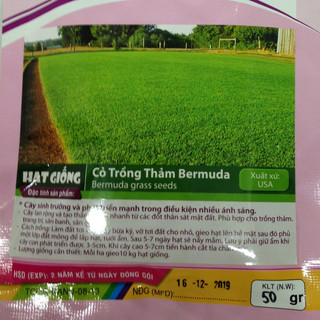 HẠT GIỐNG CỎ TRỒNG THẢM BERMUDA - 50Gr