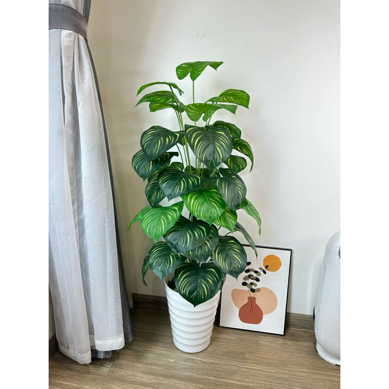 TRẦU BÀ SỌC 1M2 - CÂY GIẢ DECOR