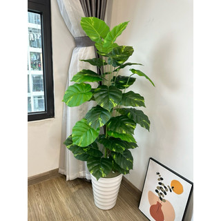 Cây giả Cây trầu bà lá đốm