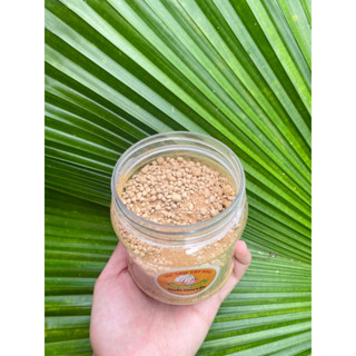 Muối nhuyễn có hạt (sặc hạt CHAY) cay vừa, ngọt nhẹ- Đặc sản Tây Ninh