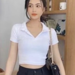 Áo thun cổ bẻ croptop