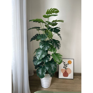 Cây giả - cây trầu bà lá xẻ decor